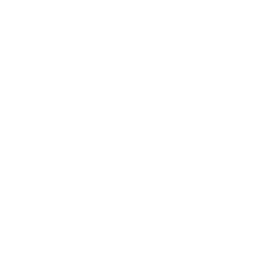 UPV